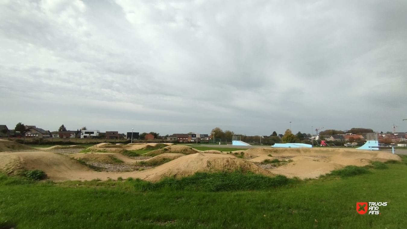 Scherpenheuvel skatepark